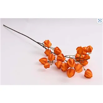 Physalis branch 96 cm, orange 371355