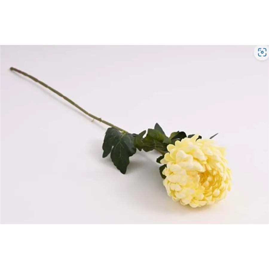 Chrysanthemum 74 cm, cream 371356