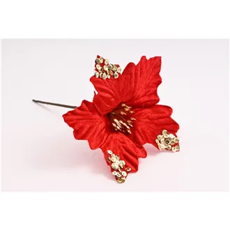 Poinsettia 371477-08