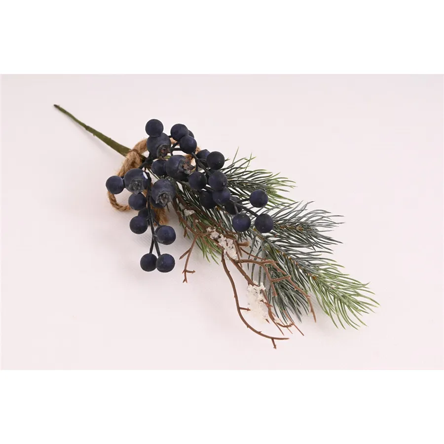 Twig with berries 371485