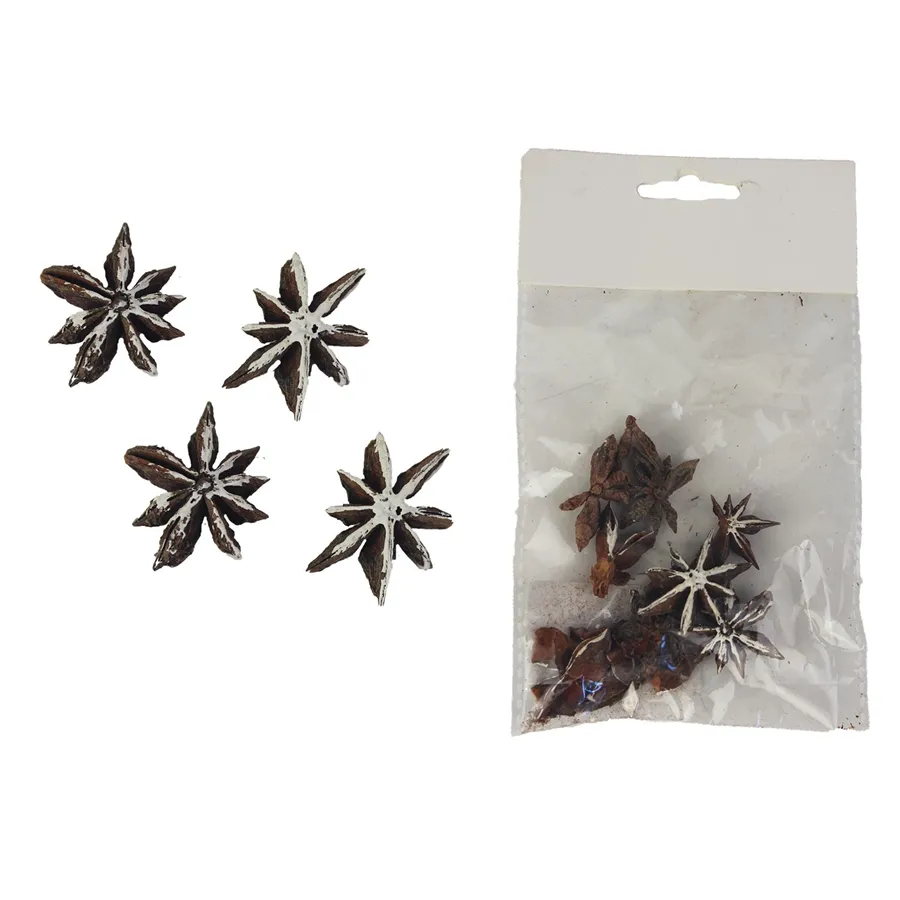 Star anise 8 pcs P1303